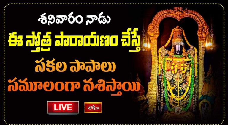 Venkateshwara Parayanam: శనివారం ఈ స్తోత్ర పారాయణం చేస్తే సకల పాపాలు నశిస్తాయి