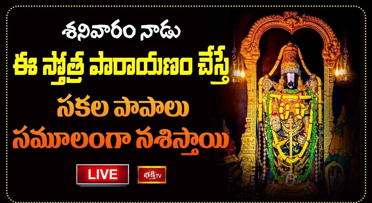 Venkateshwara Parayanam: శనివారం ఈ స్తోత్ర పారాయణం చేస్తే సకల పాపాలు నశిస్తాయి