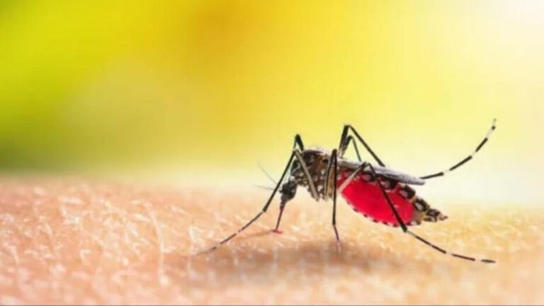 Zika Virus: వైద్యుడు సహా 15 ఏళ్ల కుమార్తెకు జికా వైరస్ పాజిటివ్