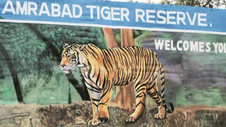 Amrabad Tiger Riserv : అమ్రాబాద్ టైగర్ రిజర్వ్ నుండి 415 కుటుంబాలు తరలింపు