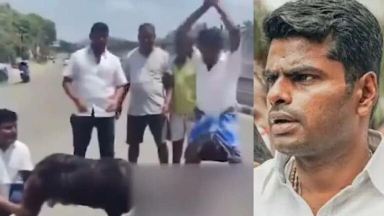 Annamalai: మేకకు అన్నామలై ఫోటో తగిలించి, నడిరోడ్డుపై తలనరికి డీఎంకే సంబరాలు.. వీడియో వైరల్..