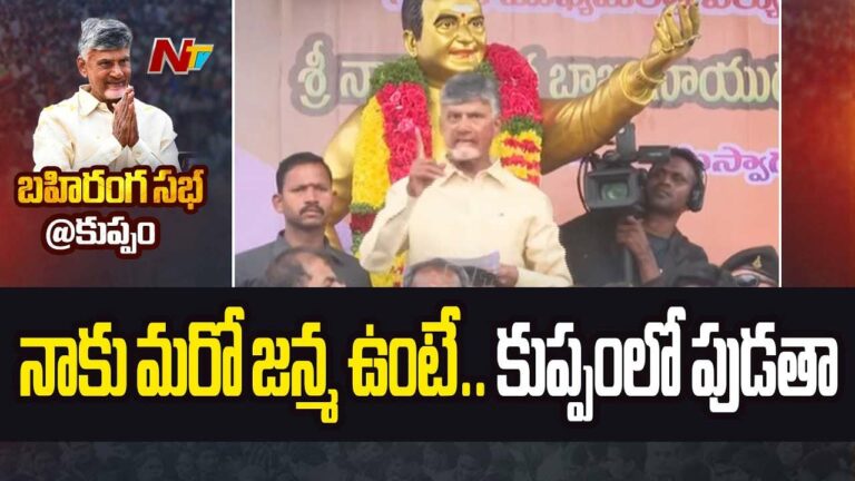 CM Chandrababu: సీఎం చంద్రబాబు కీలక వ్యాఖ్యలు..