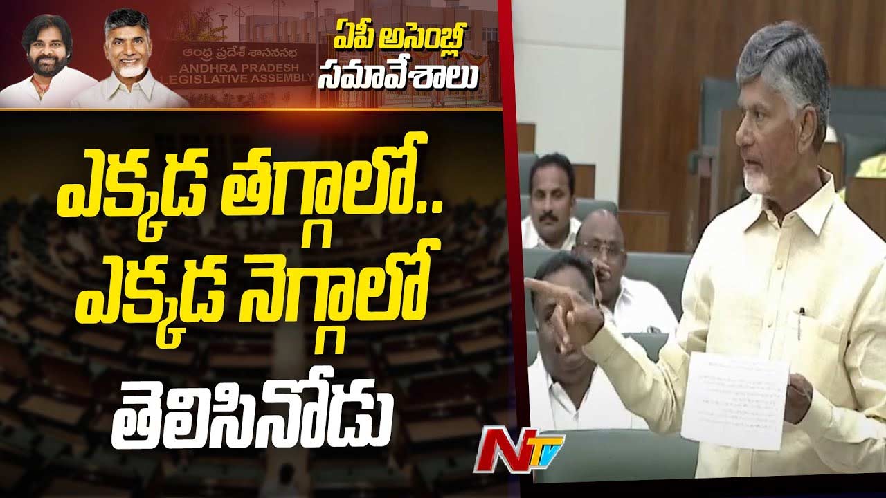 CM Chandrababu: ఎక్కడ తగ్గాలో.. ఎక్కడ నెగ్గాలో తెలిసిన వ్యక్తి పవన్‌..