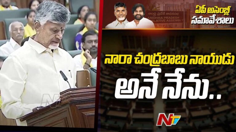 AP Assembly: ఎమ్మెల్యేలుగా చంద్రబాబు, పవన్‌ కల్యాణ్‌ ప్రమాణస్వీకారం