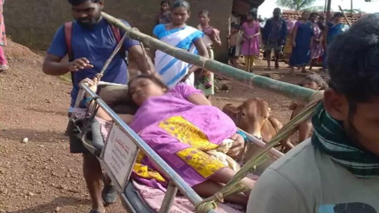 Andhra Pradesh: ఏజెన్సీలో తీరని కష్టాలు.. డోలీలో ఆస్పత్రికి గర్భిణీ..