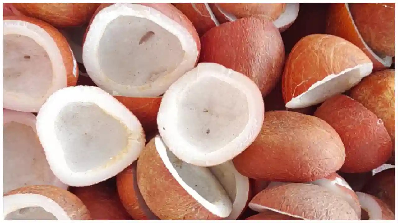 Dry Coconut : ఎండు కొబ్బరిని ఇలా తీసుకుంటే ఎన్ని ప్రయోజనాలో తెలుసా?
