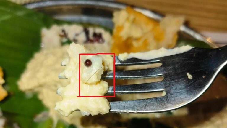 Fine To Hotel: హోటల్ లో చట్నీలో వెంట్రుక.. భారీ జరిమానా..