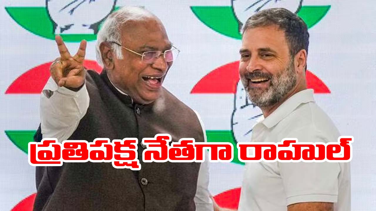 Rahul gandhi: రాహుల్‌గాంధీకి ప్రమోషన్.. ప్రతిపక్ష నేతగా నియామకం
