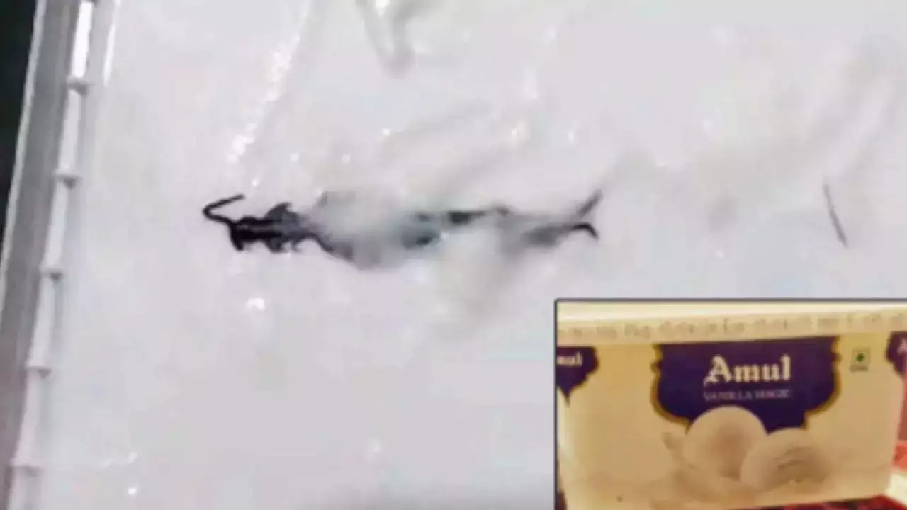 Viral News : ఆన్ లైన్లో ఐస్ క్రీమ్ ఆర్డర్ చేస్తున్నారా? ఇది చూస్తే జన్మలో తినరు..