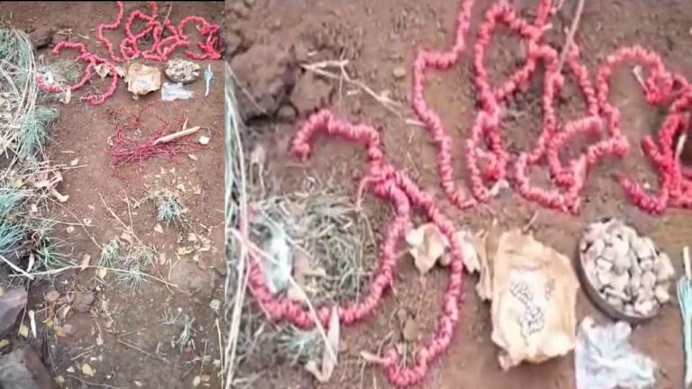 Maoists : మావోయిస్టుల కుట్రను భగ్నం చేసిన ములుగు జిల్లా పోలీసులు