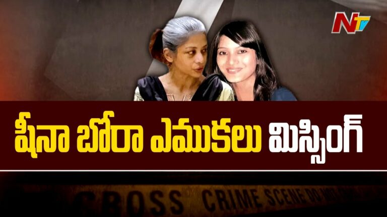 Mumbai court: షీనాబోరా హత్య కేసులో బిగ్ ట్విస్ట్…(వీడియో)