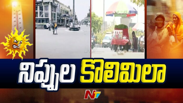 Impact of Severe Heatwaves: ఉత్తరాదిలో  నిప్పులు కురిపిస్తున్న భానుడు..(వీడియో)