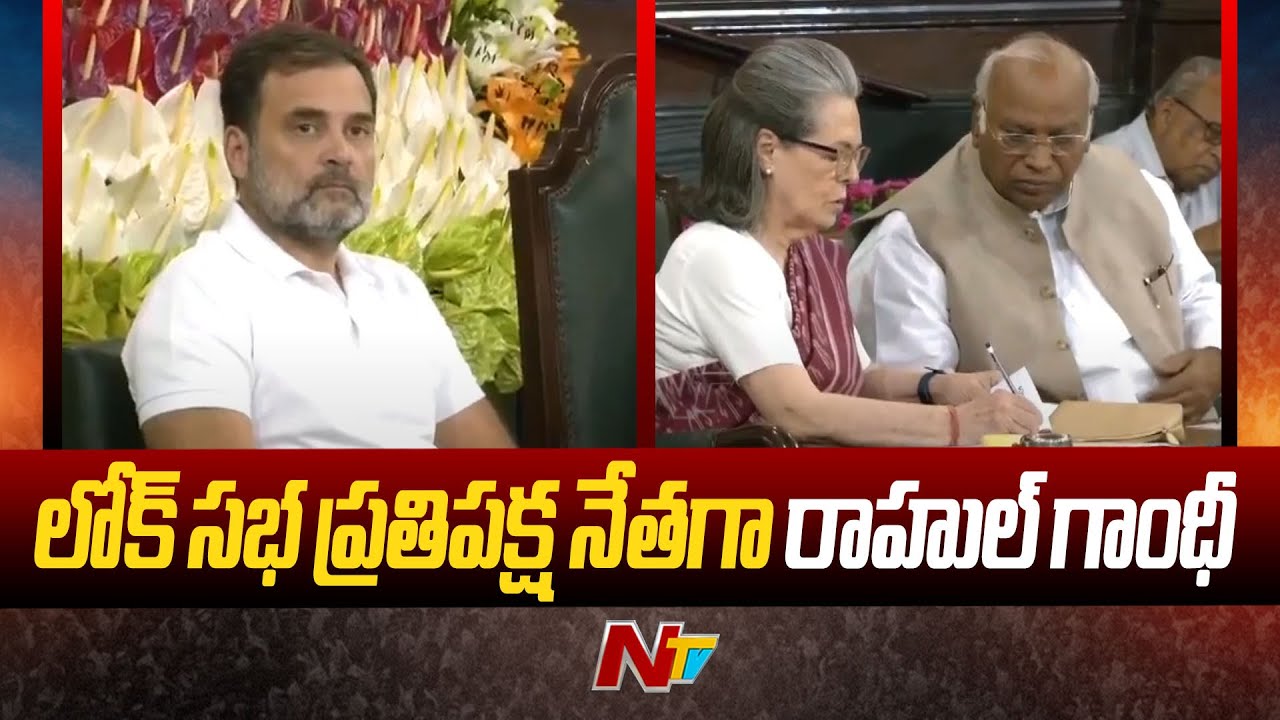 Rahul Gandhi: లోక్ సభ ప్రతిపక్ష నేతగా రాహుల్ గాంధీ.. కాంగ్రెస్ లో కొత్త  ఉత్సాహం