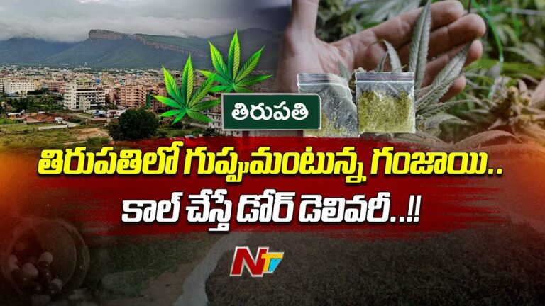 Tirupati: తిరుపతిలో గుప్పుమంటున్న గంజాయి…(వీడియో)