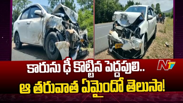 Nellore : నెల్లూరు-ముంబయి జాతీయ రహదారిపై పెద్దపులి కలకలం..(వీడియో)