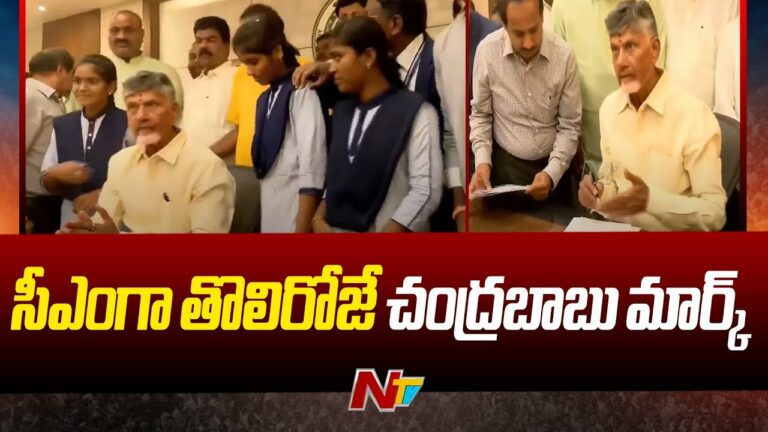 Andhra Pradesh Cm: మెగా డీఎస్సీతో పాటు నాలుగు కీలక ఫైళ్లపై సీఎం చంద్రబాబు నాయుడు తొలి సంతకం..(వీడియో)