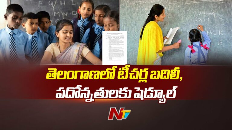 Telangana Government: తెలంగాణ ప్రభుత్వ ఉపాధ్యాయులకు బంపర్ ఆఫర్..(వీడియో)