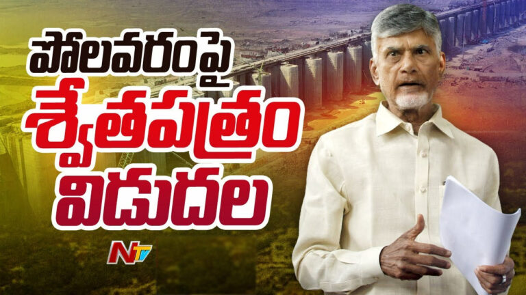CM Chandrababu: పోలవరంపై శ్వేత పత్రం విడుదల చేసిన సీఎం..