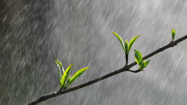 Weather alert: పలు రాష్ట్రాలకు భారీ వర్ష సూచన