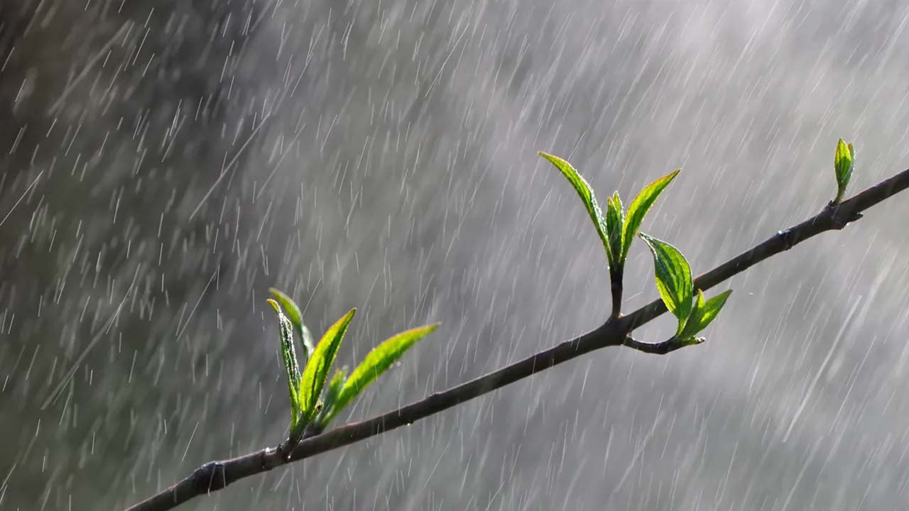 Weather alert: పలు రాష్ట్రాలకు భారీ వర్ష సూచన