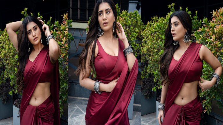 Rashi Singh: నడుము అందాలతో చెమటలు పట్టిస్తున్న రాశి సింగ్