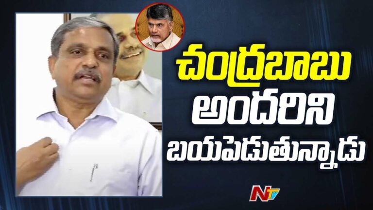 Sajjala Ramakrishna Reddy: వారి సంబరాలు తాత్కాలికమే.. అసలు సంబరాలు రేపు మేం చేస్తాం..