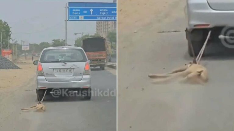 Viral News : మనుషుల్లో మానవత్వం కనుమరుగవుతోంది.. ఇదే నిదర్శనం..!