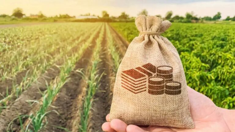 Agriculture: కేంద్రం కీలక నిర్ణయం.. గ్రామీణ పరిశ్రమల కోసం వ్యవసాయ నిధి ఏర్పాటు!