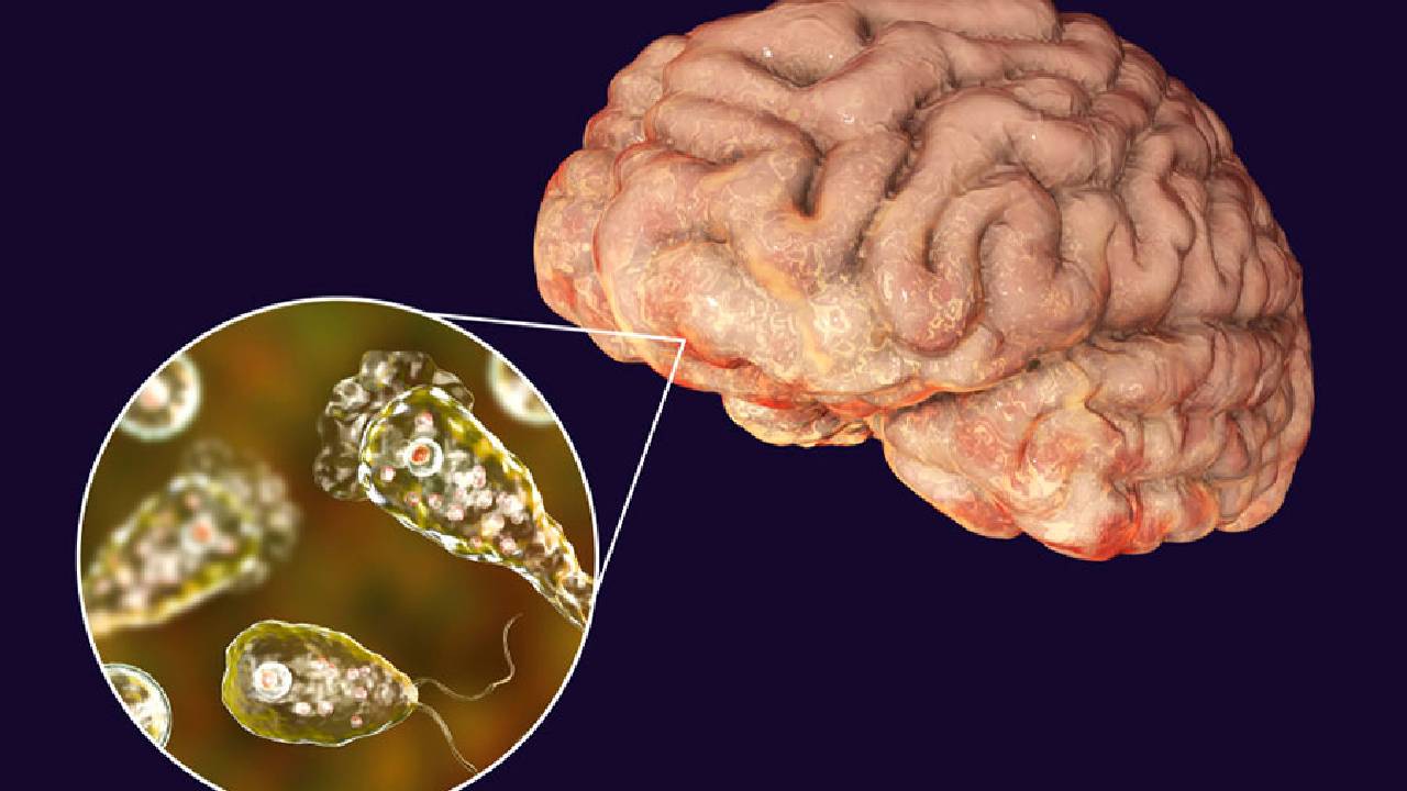 Brain-Eating Amoeba: ప్రాణాంతక ‘‘మెదడును తినే అమీబా’’ .. కేరళలో 4వ కేసు నమోదు..