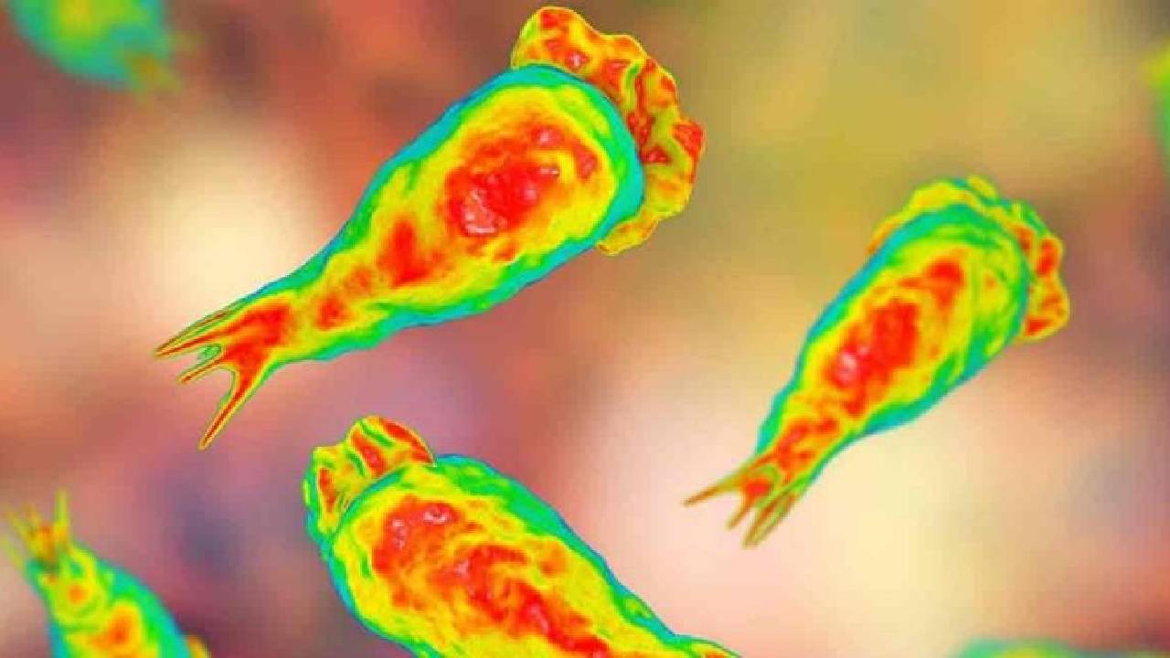 Brain eating amoeba: అద్భుతం.. “మెదుడుని తినే అమిబా”ని జయించిన 14 ఏళ్ల బాలుడు