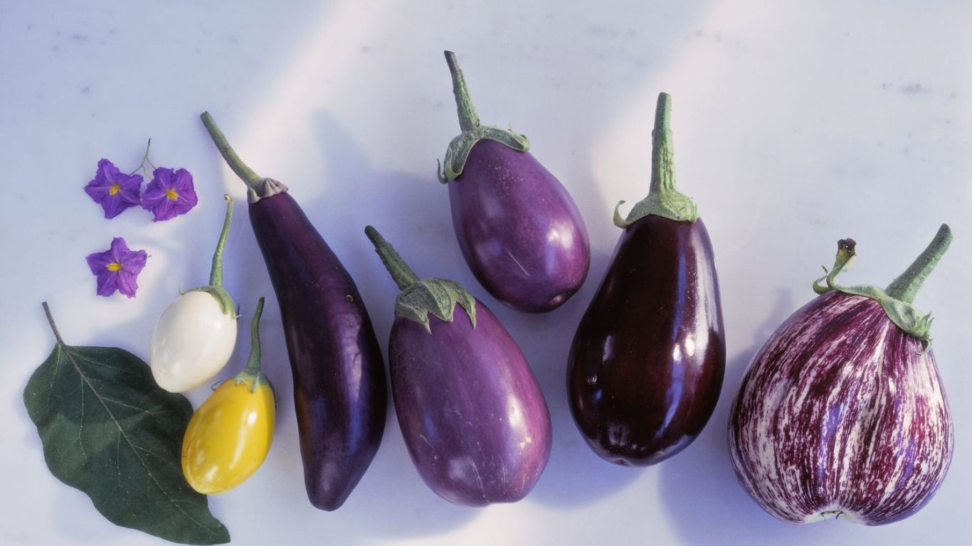 Brinjals Health Benefits: వయ్యారంగా ఉండే వంకాయలలో ఇంత మ్యాటర్ ఉందా..?