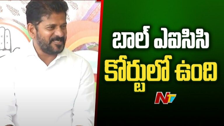 CM Revanth Reddy: మంత్రివర్గ విస్తరణ, పీసీసీ నియామకంపై అధిష్టానందే నిర్ణయం..