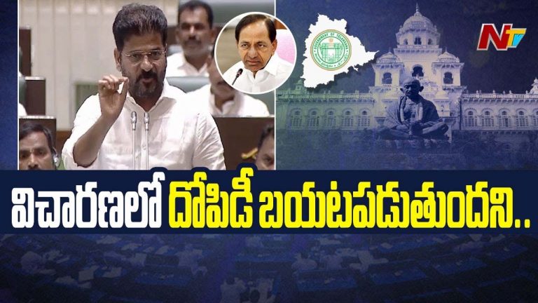 CM Revanth Reddy: తెలంగాణకు వాళ్ళేదో కరెంట్‌ తెచ్చినట్టు.. అసెంబ్లీలో రేవంత్ రెడ్డి