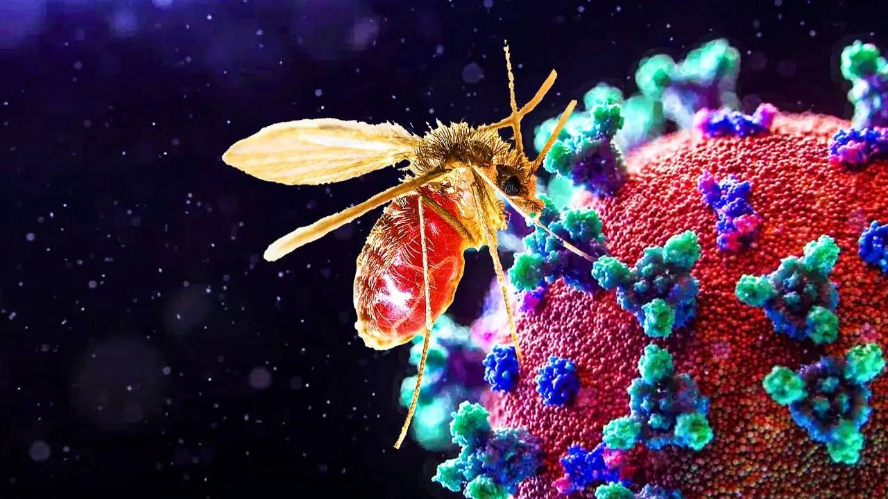 Chandipura Virus: ‘చండీపురా వైరస్’ ఏమిటి.? లక్షణాలు, నివారణ, చికిత్స వివరాలు..