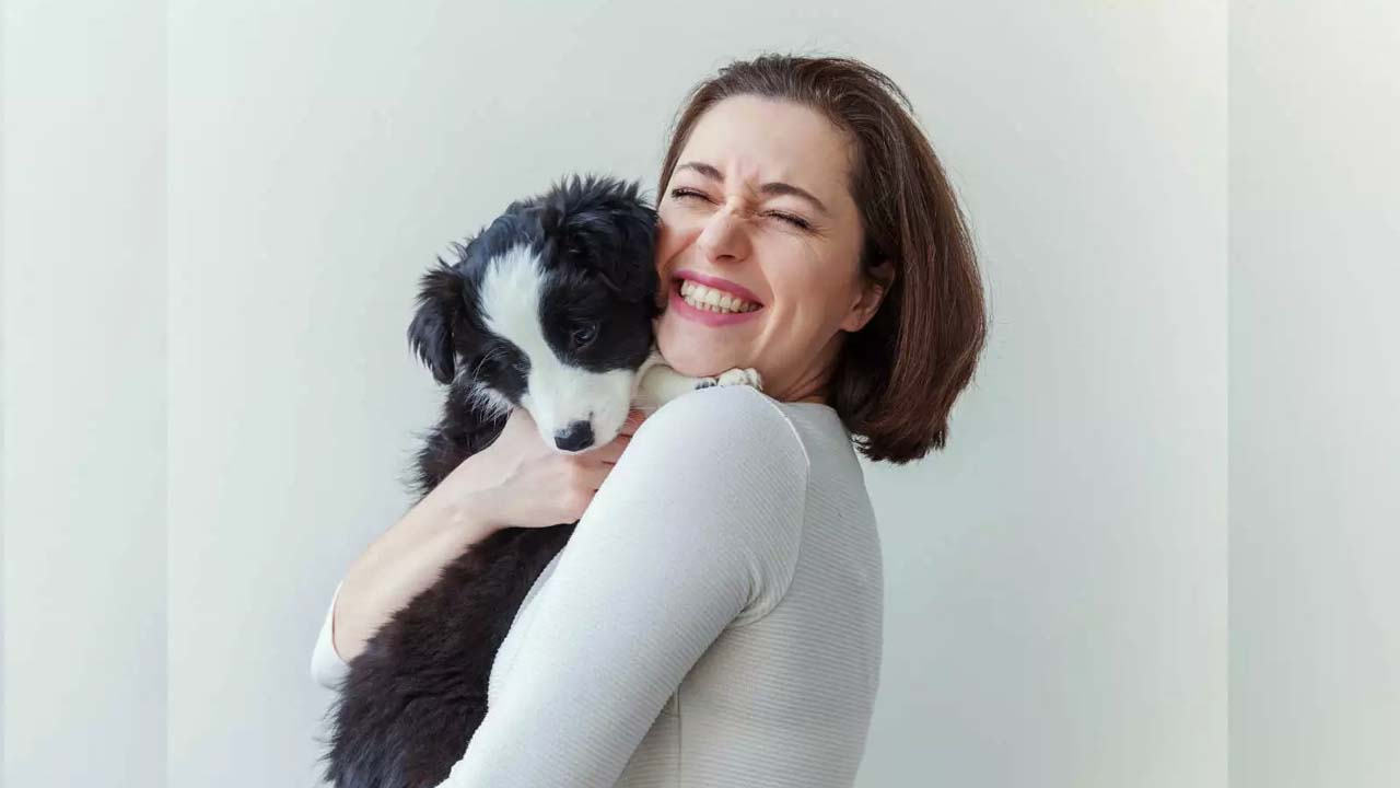 Dog Breeding: ఇంట్లో కుక్కలను పెంచుకోవడమే కాదు.. ఇవి కూడా చేయాలి..