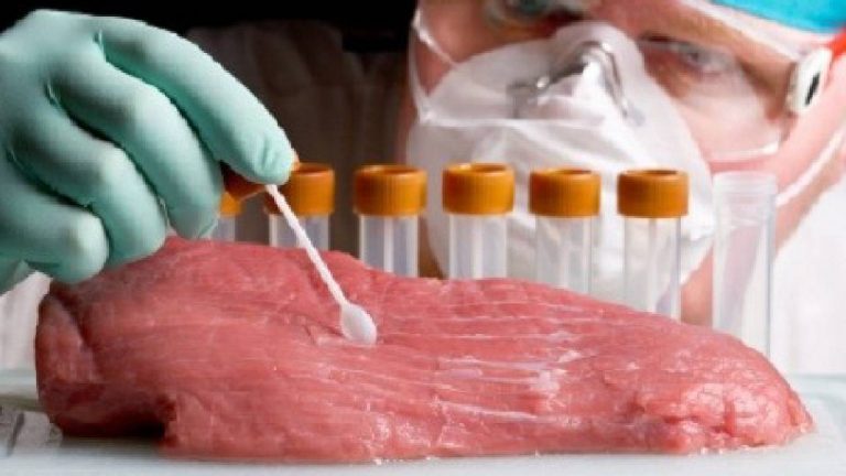 Dog Meat Row: బెంగళూర్ హోటళ్లకు కుక్క మాంసం.. ఆరోపణలపై ప్రభుత్వం చర్యలు..