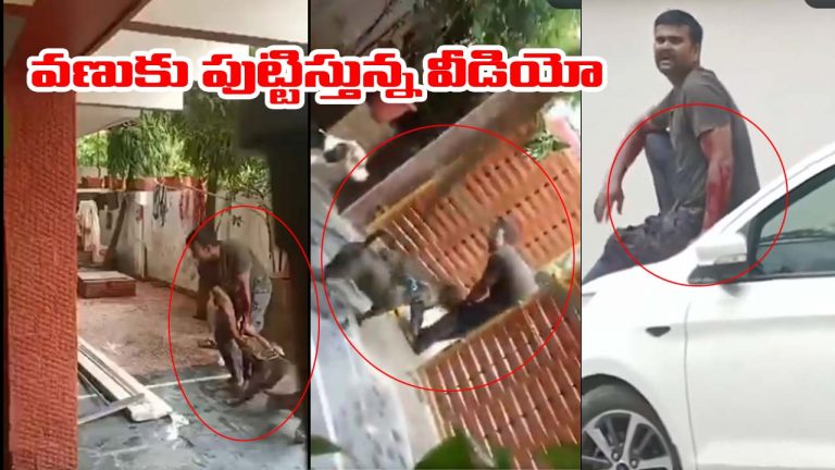 Viral video: బాబోయ్.. ఇవేం కుక్కలు.. బెంబేలెత్తిపోయిన డెలివరీ బాయ్