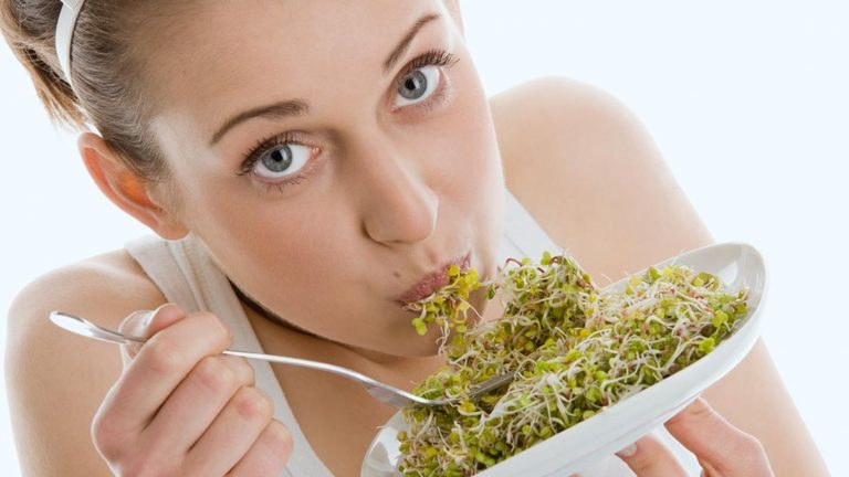Eating Sprouts: మొలకలను తినడం వెనుక ఉండే రహస్యం ఇదా..?