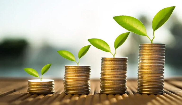 Financial Management: ఆర్థిక నిర్వహణలో ఇబ్బంది పడుతున్నారా.. పక్కాప్లాన్ ఇలా చేసేయండి..