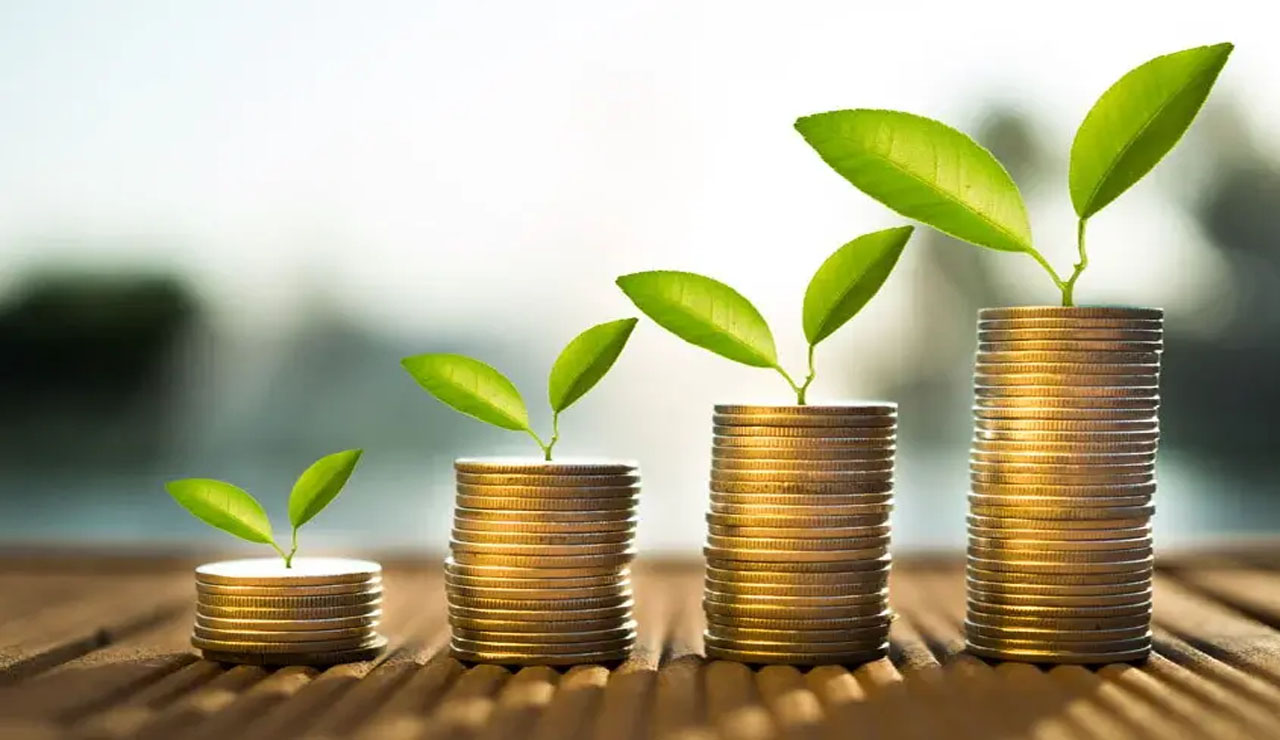 Financial Management: ఆర్థిక నిర్వహణలో ఇబ్బంది పడుతున్నారా.. పక్కాప్లాన్ ఇలా చేసేయండి..