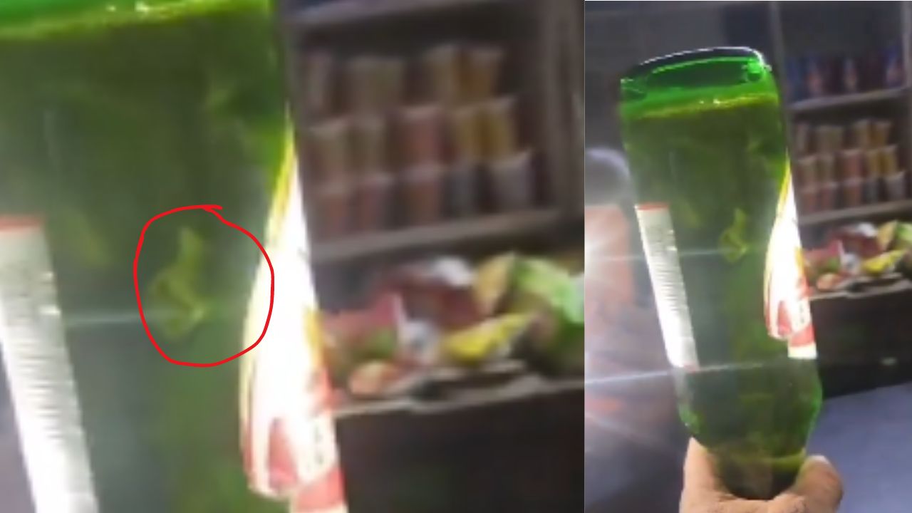 Fungus in Beer Bottle: బీర్ బాటిల్‌లో ఫంగస్.. వైన్ షాప్‌ ముందు కస్టమర్ ఆందోళన!