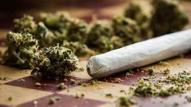 Ganja Seized : పక్కప్లాన్‌తో దాడులు.. రెండు కేజీల గంజాయి.. నాలుగు బైకులు సీజ్‌