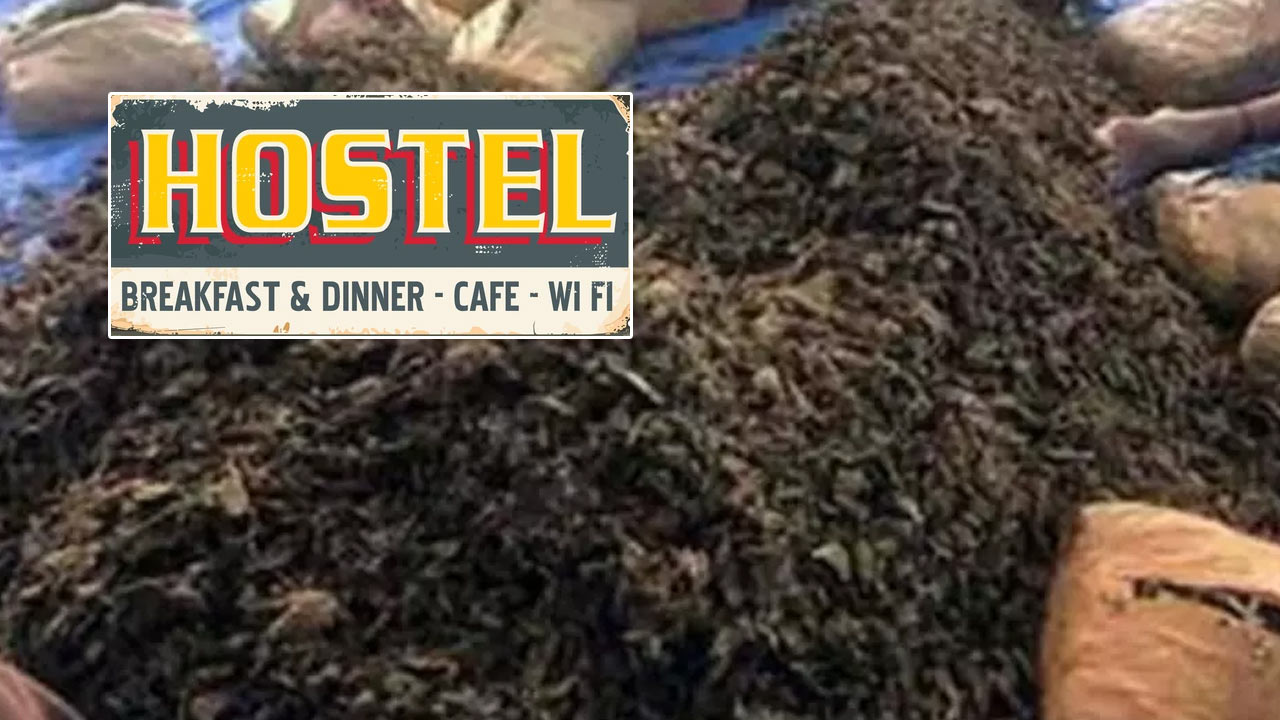 Ganja: హాస్టల్‌లో గంజాయి డెన్.. నివ్వెరపోయిన పోలీసులు..!