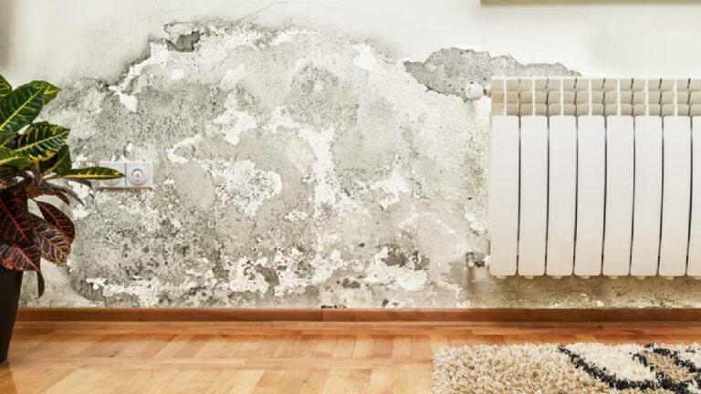 Damp-Proof House: తరచూ కురిసే వర్షాలకు గోడలు దెబ్బతింటున్నాయా? అయితే ఇలా చేయండి..