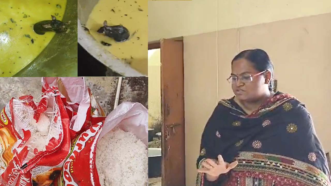 NTV Effect: జేఎన్టీయూ ఘటనపై మంత్రి దామోదర రాజనరసింహ సీరియస్‌. క్యాంపస్‌ కు అడిషనల్ కలెక్టర్..