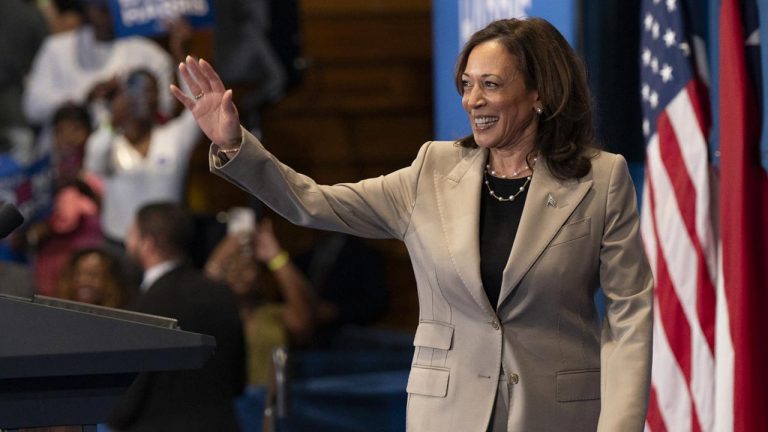 Kamala Harris: అమెరికా రాజకీయాల్లో మనోళ్ల సత్తా.. ఉన్నత పదవుల్లో ఇండో అమెరికన్స్!