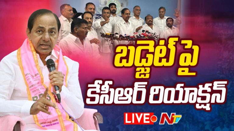 KCR: తెలంగాణ బడ్జెట్ పై కేసీఆర్ రియాక్షన్..