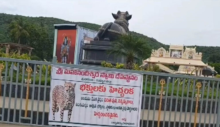 Leopard Roaming In Mahanandi : చిరుత దెబ్బకి కంటికి కునుకు లేకుండా జాగారణ చేస్తున్న జనం..