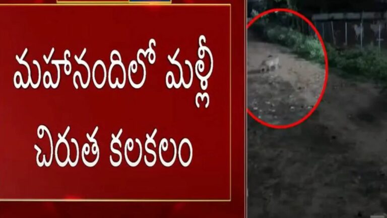 Mahanandi Temple: మహానంది క్షేత్రంలో మరోసారి చిరుత కలకలం!