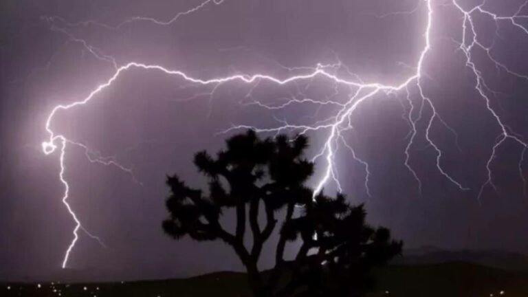 Bihar: పిడుగుపాటుకు 12 మంది మృతి